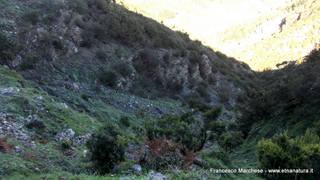 nte Scuderi-23-11-2014 09-48-23